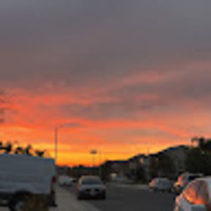 Meet your Posher, Irene